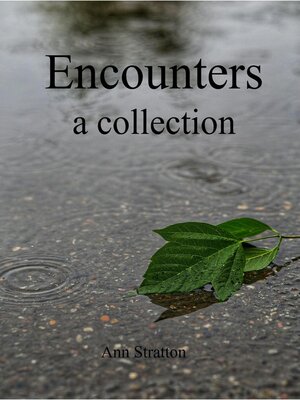 cover image of Encounters